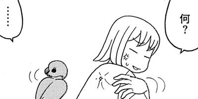 �����͡���5��