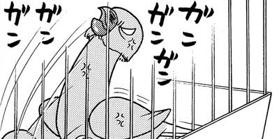 �����͡���7��