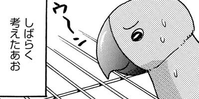 �����͡���11��