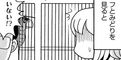 �����͡���13��