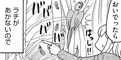 �����͡���14��