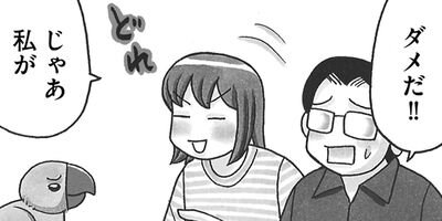 �����͡���17��