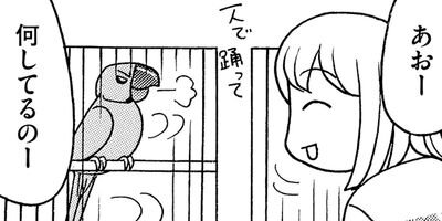 �����͡���18��