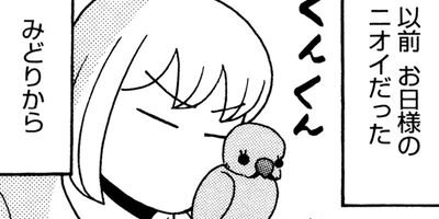 �����͡���20��