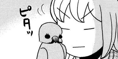 �����͡���22��