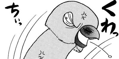 �����͡���28��