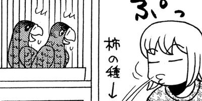 �����͡���31��