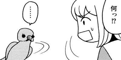 �����͡���35��