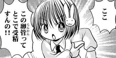 �����ʺʤ��� 49