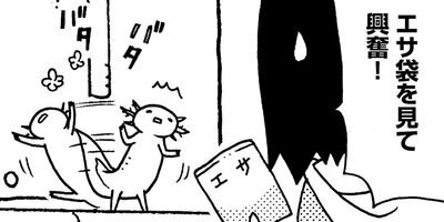 �����ѡ��롼�ѡ��ˤä� ���ѻҤϤ���ޤ����� 4