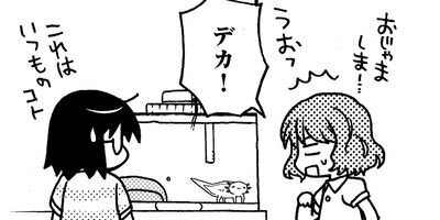 �����ѡ��롼�ѡ��ˤä� ���ѻҤϤ���ޤ����� 8