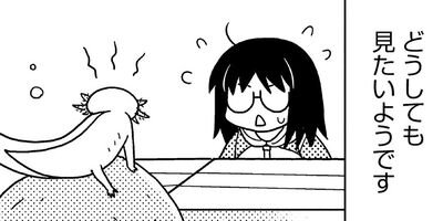 �����ѡ��롼�ѡ��ˤä� ���ѻҤϤ���ޤ����� 9