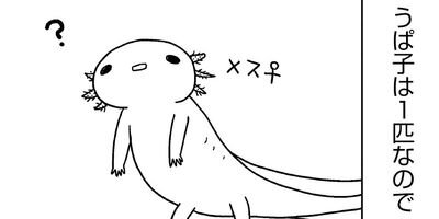 �����ѡ��롼�ѡ��ˤä� ���ѻҤϤ���ޤ����� 11