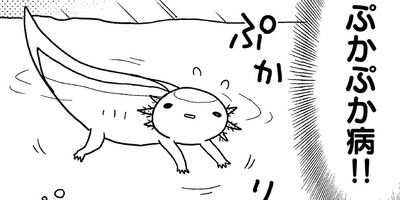 �����ѡ��롼�ѡ��ˤä� ���ѻҤϤ���ޤ����� 12