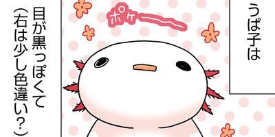 �����ѡ��롼�ѡ��ˤä� ���ѻҤϤ���ޤ����� 16