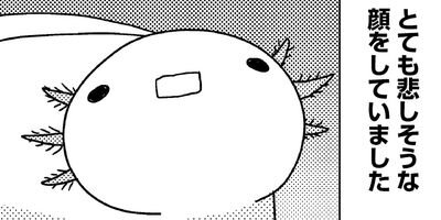 �����ѡ��롼�ѡ��ˤä� ���ѻҤϤ���ޤ����� 18