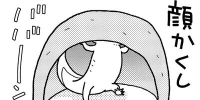 �����ѡ��롼�ѡ��ˤä� ���ѻҤϤ���ޤ����� 19