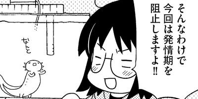 �����ѡ��롼�ѡ��ˤä� ���ѻҤϤ���ޤ����� 20