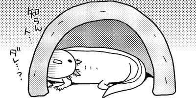 �����ѡ��롼�ѡ��ˤä� ���ѻҤϤ���ޤ����� 28