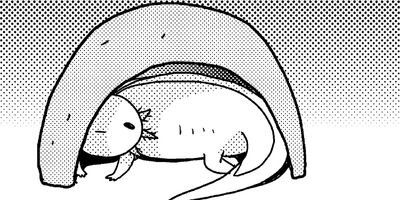 �����ѡ��롼�ѡ��ˤä� ���ѻҤϤ���ޤ����� 36