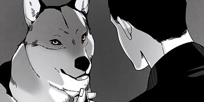 WOLF IN THE HOUSE������ա����󡦥����ϥ���47�áڥե륫�顼��