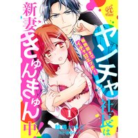 【単話】ヤンチャ社長は新妻きゅんきゅん中! 毎晩朝までイチャ甘エッチ!