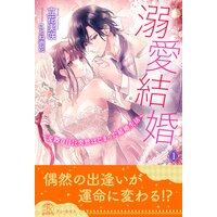 溺愛結婚 交際0日 突然はじまった結婚生活 立花実咲 他 電子コミックをお得にレンタル Renta