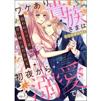 拾われリリーは甘い嘘にほだされる ワケあり貴族さまは初夜から溺愛です(分冊版) 【第3話】