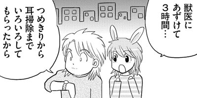 ���̤����ʤ��� ξ����ͭ��ʪ�� 244