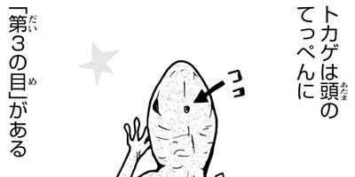 �ð夵�󤬶�����ưʪ��Τʤ������� 8