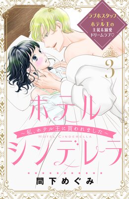 �ۥƥ륷��ǥ����䡢�ۥƥ벦������ޤ����� ʬ���� 3��