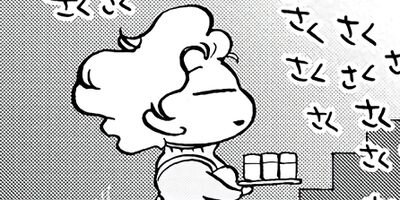 �����㡼�β�ƻ�� 55