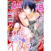 濃蜜kisshug Vol.66「官能小説家のイタズラ」【再編集版】