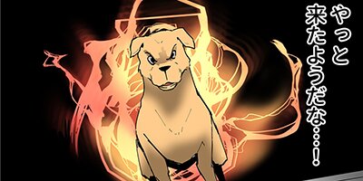 ����������������ǥ֤ȸƤФ줿���������������Ǥ�Ķ�������� 30�áڥե륫�顼��