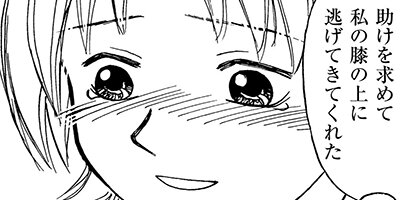 �ޤ� ��󤳤��ޡ��������ϥܥ��ƥ����������㤱���á� 5