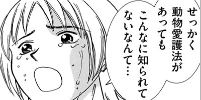 �ޤ� ��󤳤��ޡ��������ϥܥ��ƥ����������㤱���á� 7