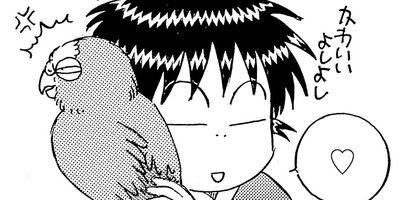 ������������� 242