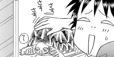 ������������� 262