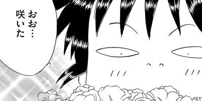 ������������� 276