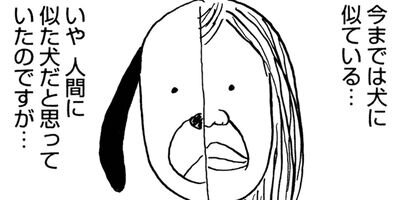 ��������� 6