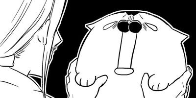 �����κ����� 37