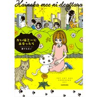 かい猫ミーに出会ったら