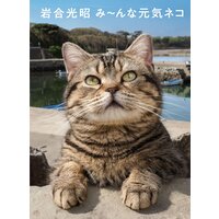 岩合光昭 み〜んな元気ネコ