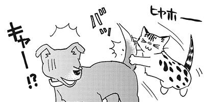 �ͤ�ƻ�� ���路���� 2