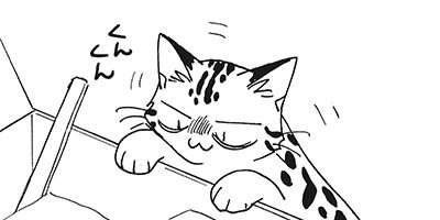 �ͤ�ƻ�� ���路���� 6