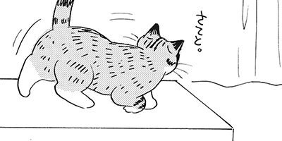 �ͤ�ƻ�� ���路���� 9