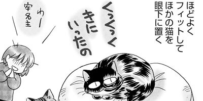 �ͤ�ƻ�� ������ 6