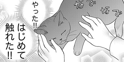 �ͤ�ƻ�� ������ 12