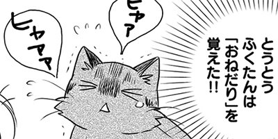 �ͤ�ƻ�� ��դ��9ɤ �ڤ���������̡���ա� 10