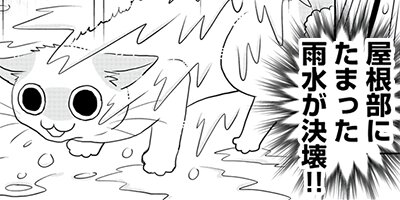 �ͤ�ƻ�� ��դ��9ɤ �ڤ���������̡���ա� 16